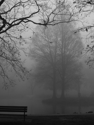 Thanksgiving Morning Fog 2012