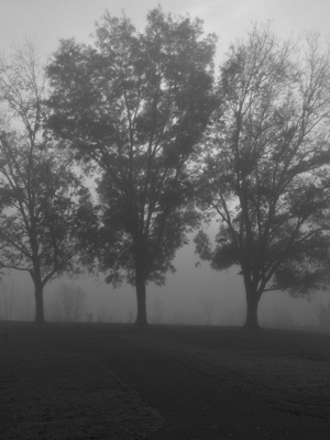 River Campus Fog